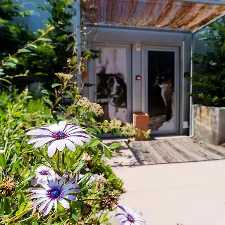 Our Quinta Vila Franca do Rosario